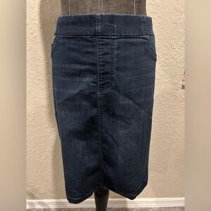 Denim Pencil Skirt